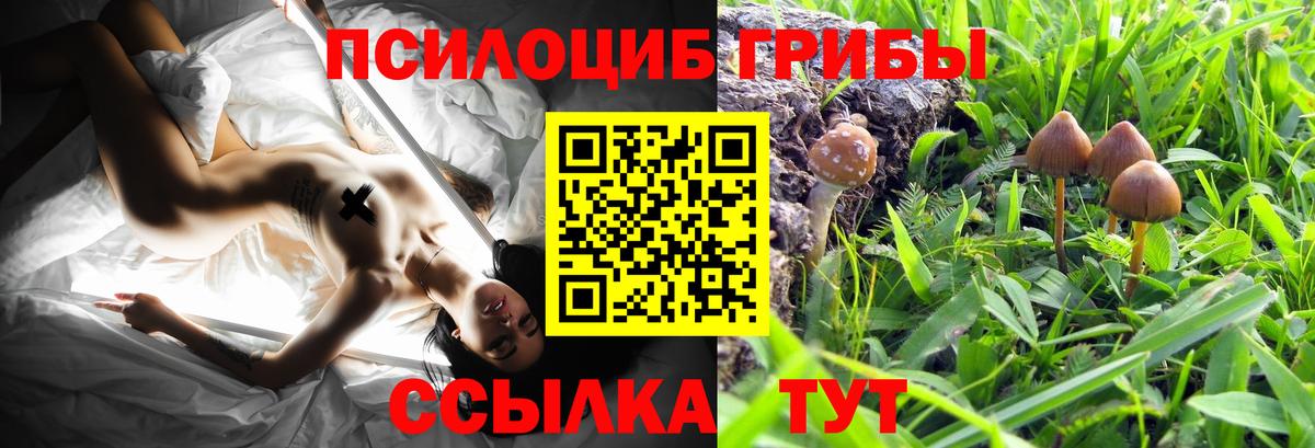 Донецк  Псилоцибиновые грибы MAGIC MUSHROOMS  Вход с VPN 