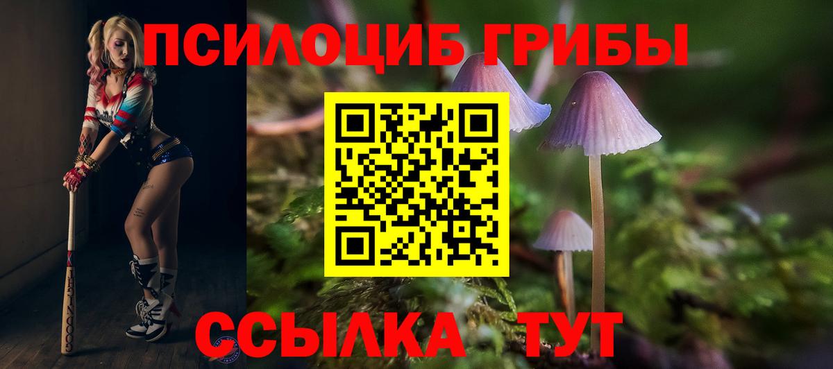 Галлюциногенные грибы Magic Shrooms Донецк